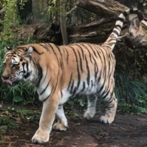 Meet your Posher, Dave